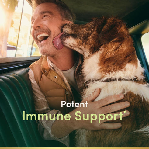 Immune 500mg, 60 count Natures Bounty Quercetin, Support, With Vitamin C, Rose Hips, & Rutin
