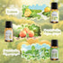 Set 6 100ML Aromatherapy Diffuser Gift with Essential Oils Fashome Ultrasonic Glass Diffuser with Timer & Auto-Off