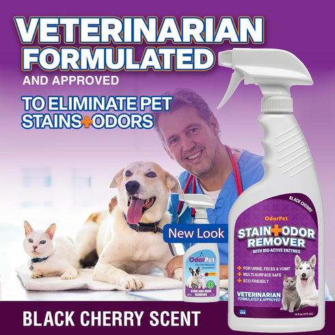 Stain and Odor Remover Spray, 16 oz Black Cherry Scented Pet Odor Eliminator for Carpet and Furniture