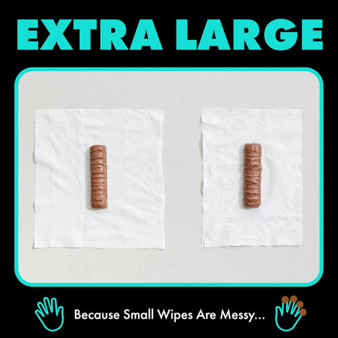 DUDE Wipes - Flushable Wipes - 6 Pack, 288 Wipes - Mint Chill Extra-Large Adult Wet Wipes