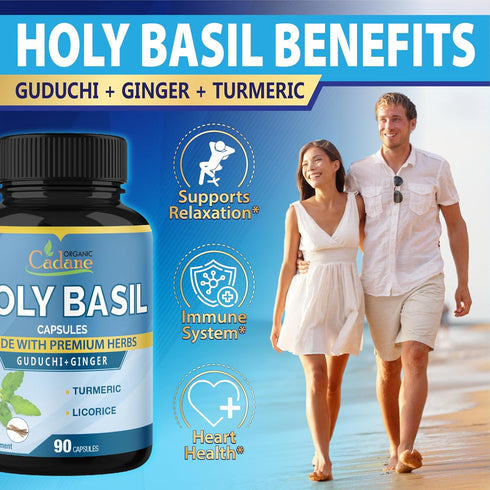 Organic Cadane Holy Basil Supplements - Capsules with Guduchi, Ginger, Turmeric Curcumin, Licorice, 90 Capsules for