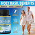 Organic Cadane Holy Basil Supplements - Capsules with Guduchi, Ginger, Turmeric Curcumin, Licorice, 90 Capsules for