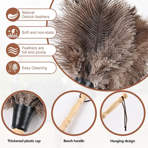 Ostrich Feather Duster Classic 14" with Wooden Handle, Eco-Friendly Reusable Handheld Cleaning Supplies for Home, Car