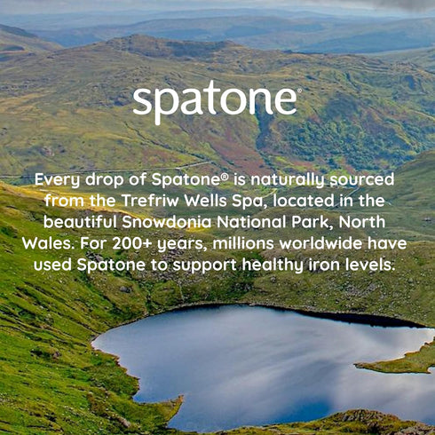 Spatone Natural Liquid Iron Supplement Plus Vit C for Women, Men & Kids Ages 4+, 28-Day, Apple Flavor