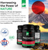 Daiwa Plasmanex 1 - Blood and Vein Circulation Supplements, 60 Vegan Capsules for Healthy Legs and Veins