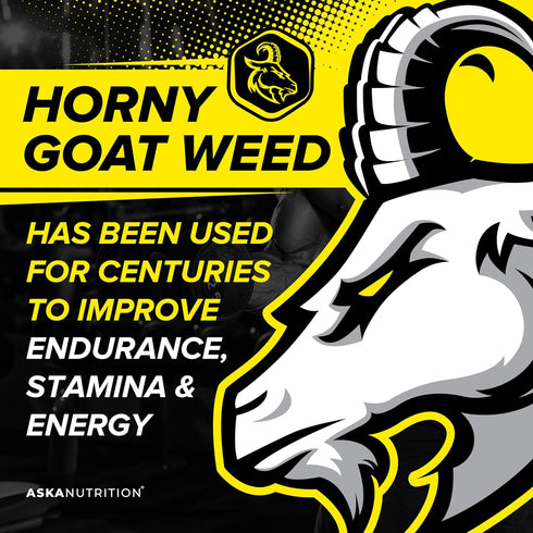 Testosterone Booster for Men, 2 PACK, Natural Test Booster with Horny Goat Weed & Tongkat Ali, Muscle Builder,