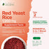 Red Yeast Rice 1200mg with CoQ10 Supplement & Flush Free Niacin 120 Extra Strength Vegetarian Capsules – Healthy Heart