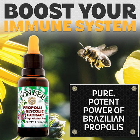 Pon Lee Brazil Green Bee Propolis Liquid Extract, No Alcohol, 30ML, 1 Pack
