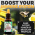 Pon Lee Brazil Green Bee Propolis Liquid Extract, No Alcohol, 30ML, 1 Pack