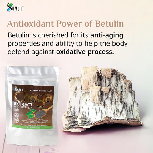 Sayan Siberian Chaga Mushroom Extract with Betulin Powder, 2 oz, Organic Antioxidant Blend for Wellness