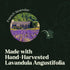 Lagunamoon Lavender Essential Oil, Pure Essential Oils for Diffusers, Aromatherapy, Relaxing Fragrance Scents (150ml)