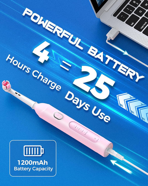 Rotating Electric Toothbrush for Adults, 8 Brush Heads (2 Types), 4 Modes, Rechargeable Power, 2 Min Smart Timer
