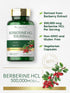 Carlyle Berberine Supplement 500,000mcg | 60 Capsules | Vegetarian, Non-GMO, Gluten Free Berberine HCL