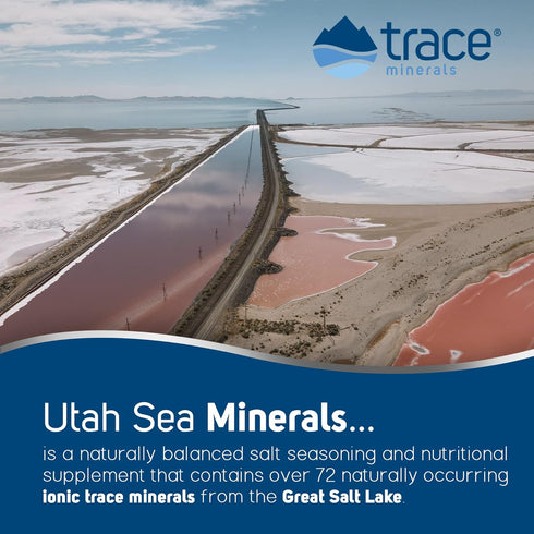 Trace Minerals Pure Utah Sea Minerals Dietary Supplement, 16 fl oz