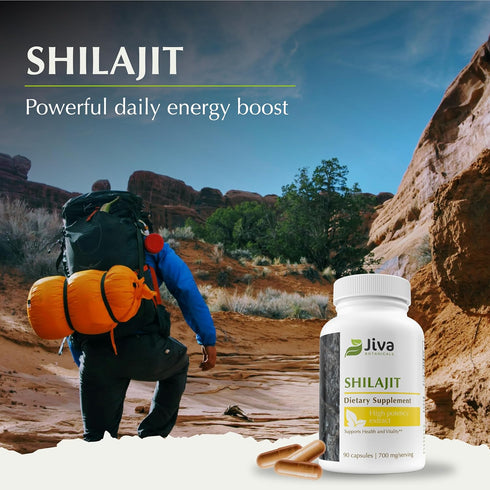 Jiva Botanicals Shilajit Capsules 700 mg – Shilajit Extract with Fulvic Acid – Supplement for Men & Women – 90 Vegan