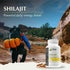 Jiva Botanicals Shilajit Capsules 700 mg – Shilajit Extract with Fulvic Acid – Supplement for Men & Women – 90 Vegan