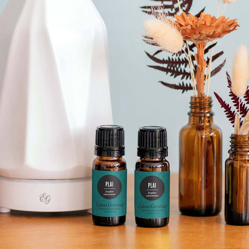 Plai Essential Oil - 100% Pure Premium Grade, Undiluted, Natural, Therapeutic, 10 ml by Edens Garden