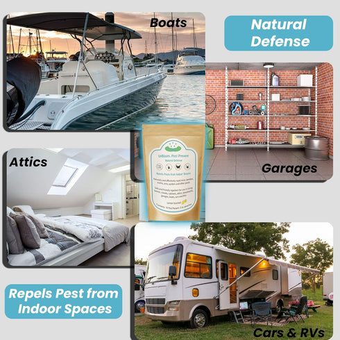 Pest Prevent Natural Defense Repellent: Indoor Spaces for Mice, Beetles, Moths, Ants, Spider, 10 Pouches, USA Made