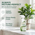 Silk Plant Cleaner Spray No Wipe, Artificial Flower Cleaner Cleaner, Removes Dust & Restores Fresh Natural Look, Easy