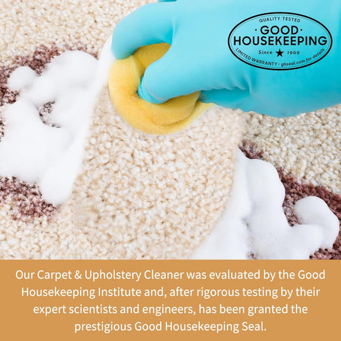Furniture Clinic Carpet & Upholstery Care Kit - Clean, Protect, and Prevent Stains and Odors