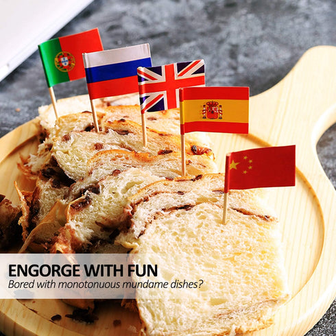 Anley Assorted 100 Different Countries Toothpick Flag, Vivid Double Sided Print & Solid Smooth Pick for Party