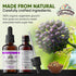 Organic Eleuthero Tincture, Eleutherococcus senticosus Extract (Siberian Ginseng)