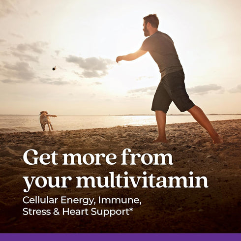 New Chapter Men's Multivitamin for Immune, Stress, Heart + Energy Support - Every Man's One Daily, Non-GMO, Gluten Free