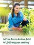 Nature's Truth N Acetyl Cysteine NAC - 1200mg, 60 Capsules Non-GMO and Gluten Free Supplement