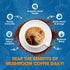Immunity, 60 B BEWORTHS Mushroom Coffee Powder with Ashwagandha, L-theanine, Lion's Mane, Reishi, Chaga, Cordyceps