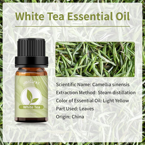 yethious White Tea Essential Oil 10ML - Aromatherapy Oil for Diffuser, Baths, Soap, Candle Making