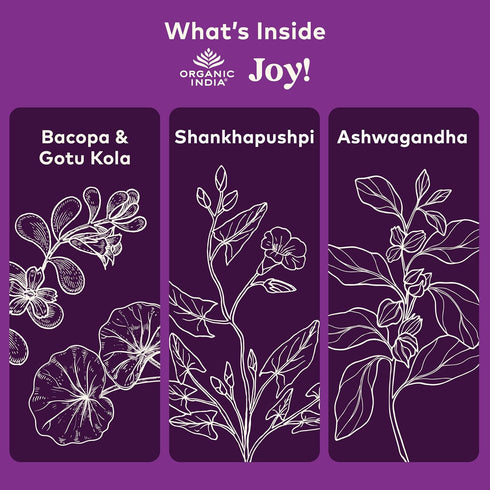 Organic India Joy Herbal Supplement - Immune Support, Promotes Memory & Concentration, 90 Capsules