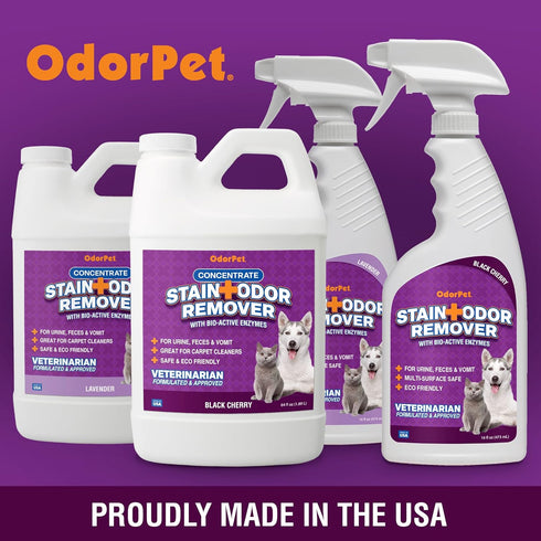 Stain and Odor Remover Spray, 16 oz Black Cherry Scented Pet Odor Eliminator for Carpet and Furniture