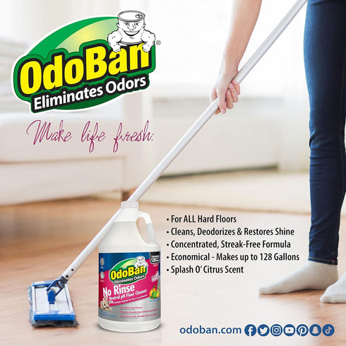 OdoBan Pet Solutions Neutral pH Floor Cleaner Concentrate, 1 Gallon & Oxy Stain Remover 32 Ounce Spray