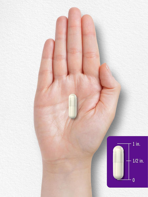 Carlyle Probiotics with Prebiotics, 120 Capsules, 50 Billion Active Organisms, Non-GMO & Gluten Free