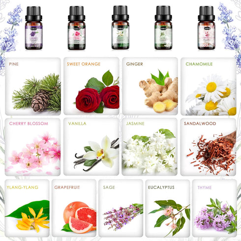 Set, (26 5ml) Essential Oils Aromatherapy Essential Oil Kit for Diffuser, Massage, Skin Care x - Eucalyptus, Lavender