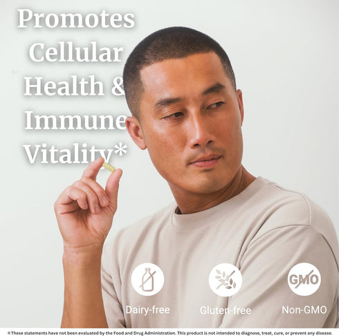 Immune Immune 60 BIG BOLD HEALTH HTB Rejuvenate - Himalayan Tartary Buckwheat - Polyphenols Supplement for Support