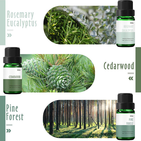Set, Fragrance Oil, MitFlor Hotel and Woodland Fragrance Oils Soap Candle Making Scents, Essential Oils for Diffusers