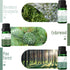 Set, Fragrance Oil, MitFlor Hotel and Woodland Fragrance Oils Soap Candle Making Scents, Essential Oils for Diffusers