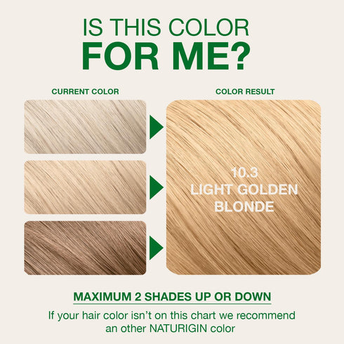 Naturigin Permanent Hair Color, 10.3 Light Golden Blonde, Ammonia Free, 1 Pack, 100% Gray Coverage