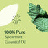 Plant Therapy Spearmint Essential Oil 30 mL (1 oz) 100% Pure, Undiluted