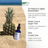 Eidon Ionic Minerals Liquid Silica Mineral Concentrate, Silica Supplement for Hair, Skin and Nails, Supports Collagen