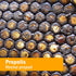 Herb Pharm Propolis Extract for Immune System Support, 1 Ounce