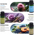 Set 6 2 Oz Essential Oils Gift for Diffuser, Premium Fragrance Oils Collection, Daylight Dew Series, Fl Each for Home
