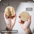 LoofaGO All-Purpose Natural Loofah Scrub Sponges, Biodegradable for Kitchen, Shower, Bath, and Skin (Pack of 10)