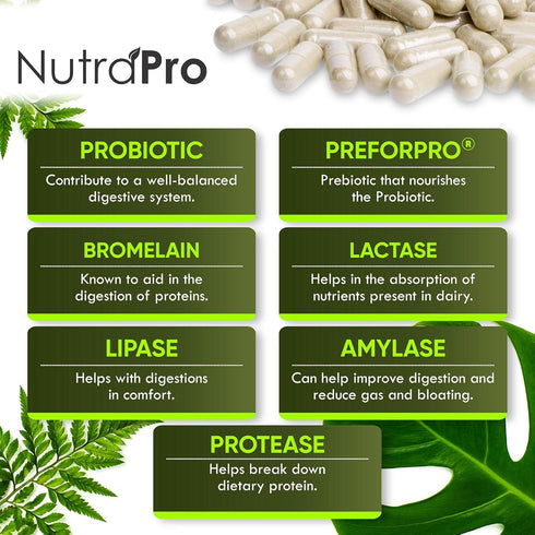 Complete Gut Health for Women and Men, Probiotic, Prebiotic, Postbiotic & Digestive Enzymes for Gut Support