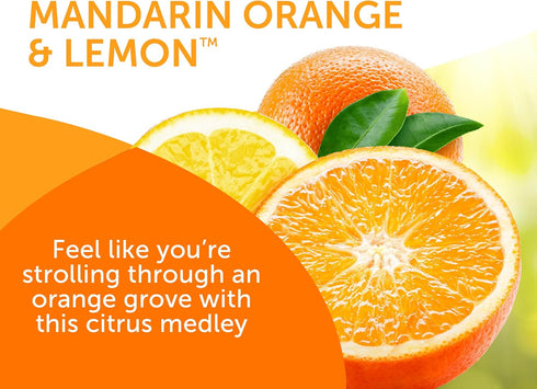 Bright Air 14 oz. Super Odor Eliminator, Mandarin Orange and Fresh Lemon Scent, Case of 6, Lasts Up to 90 Days