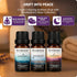 Set 3-Pack 10ml Brookstone Essential Oil Blends Sleep Collection | Organic Essential Oil for Aromatherapy Diffuser