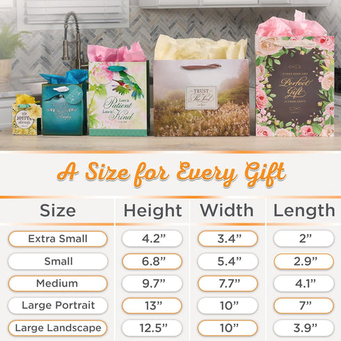 Christian Art Gifts Landscape Gift Bag Set - Hope and A Future - Jeremiah 29:11 Inspirational Bible Verse, Navy