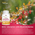 Dihydroberberine (GlucoVantage) 100 mg - 90 Capsules, Super Berberine Supplement