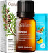 Gya Labs Hinoki Essential Oil for Skin - 100% Natural Hinoki Oil for Diffusers, Aromatherapy, Hair, Massage, Soaps